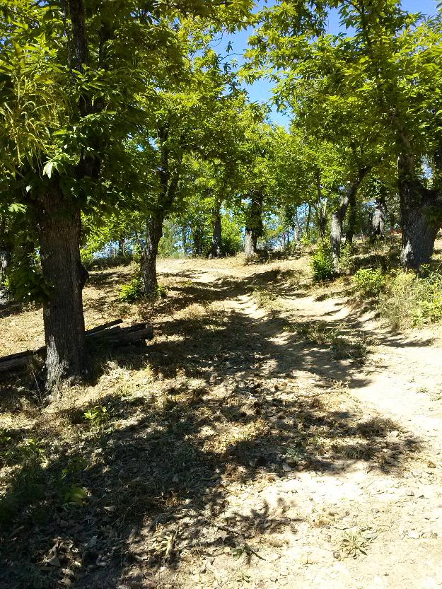 Finca rústica en Los Marines