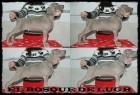 Excelentes Cachorros Weimaraner / Braco de Weimar - mejor precio | unprecio.es