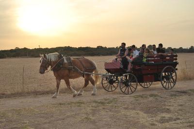 Agroturisme SON LLADO