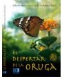 El despertar de la oruga