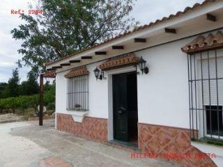 Casa en alquiler en Alhaurín de la Torre, Málaga (Costa del Sol)