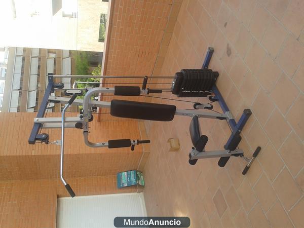 Máquina de musculación Longway 33A