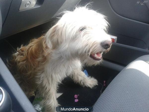 IGOR abandonado en una gasolinera