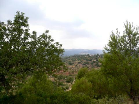 Parcela en Les Useres con pequeña caseta de piedra