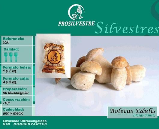 Venta de setas silvestres y de cultivo