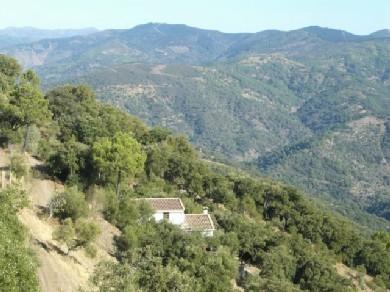 Chalet con 4 dormitorios se vende en Ronda, Serrania de Ronda