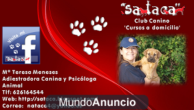 Adiestramiento canino a domicilio