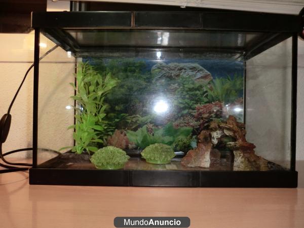 Vendo Acuario 20 litros