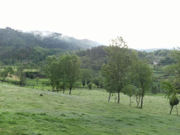 Quintinha em Portugal, trás - os - montes