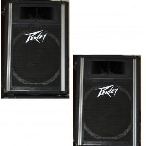 Columnas profesionales peavey intenational 150w