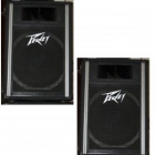 Columnas profesionales peavey intenational 150w - mejor precio | unprecio.es