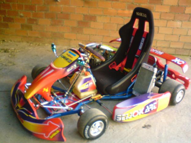 KART CON MOTOR KAWASAKI 2T 250CC 50CV