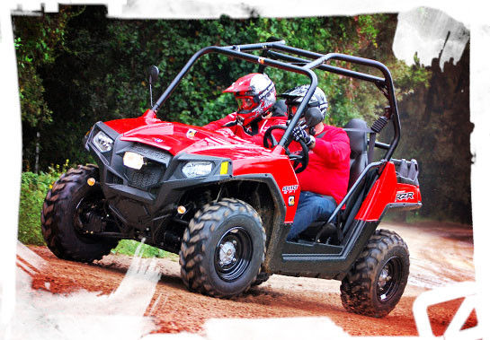 rzr 800