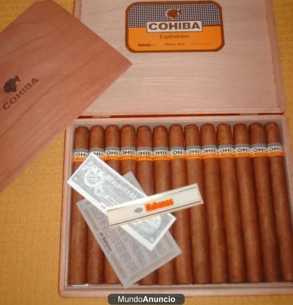 Cohiba Espléndidos