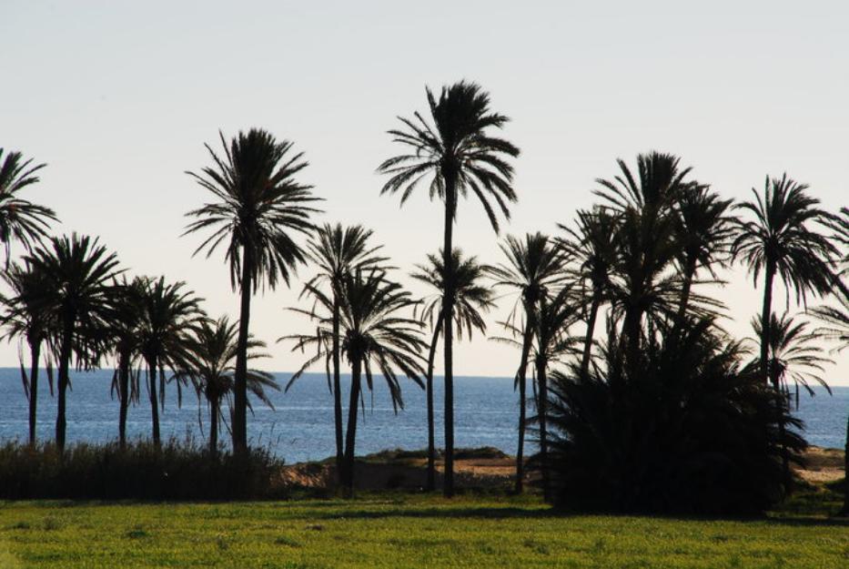 Torrevieja cerca de los hospital bugalow vistas panoramica