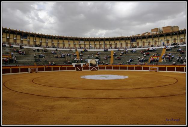 ULTIMAS ENTRADAS TOROS  DE OLIVENZA 2010