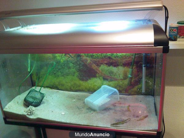 vendo acuario completo