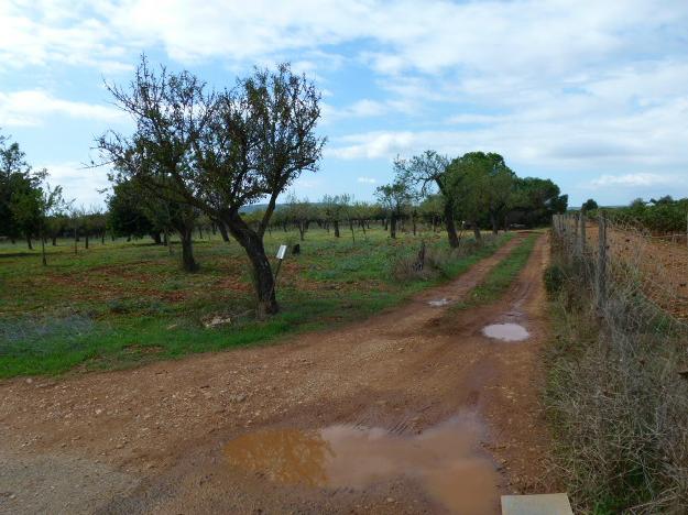 Finca rústica en Consell