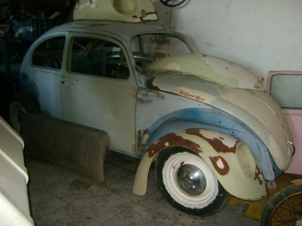 volkswagen escarabajo