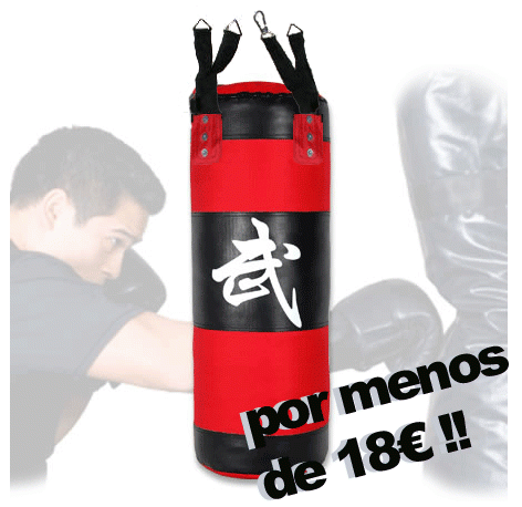 SACOS DE BOXEO PARA USO PARTICULAR Y PROFESIONAL POR MENOS DE 18€!!