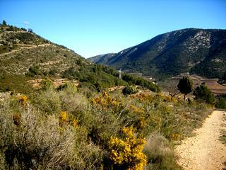 in Atzeneta Del Maestrat,  Catalonia   - 15000  EUR