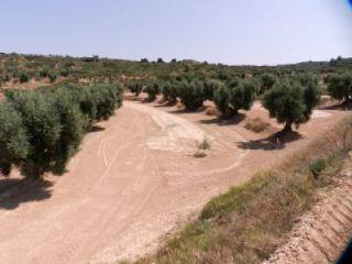 Finca/Casa Rural en venta en Maella, Zaragoza