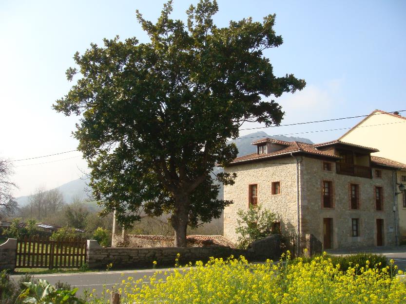 Alquiler vacacional casa de piedra