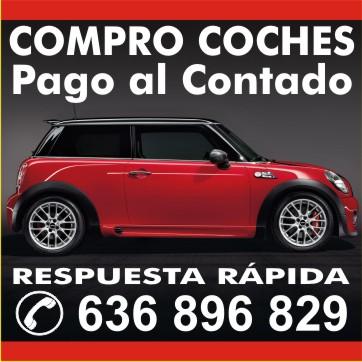 Mini, BMW, Audi, Mercedes, Volswagen... CONVIERTE tu coche en DINERO