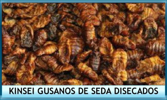 Alimento peces gusanos de seda disecados 1l