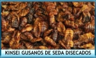 Alimento peces gusanos de seda disecados 1l - mejor precio | unprecio.es