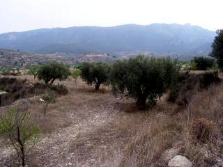 in Blanca,  Murcia   - 75000  EUR