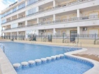 Apartamento en venta en Playa Flamenca, Alicante (Costa Blanca) - mejor precio | unprecio.es