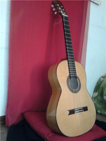 VENDO GUITARRA PICADO 53f CON FUNDA ACORAZADA INCLUIDA