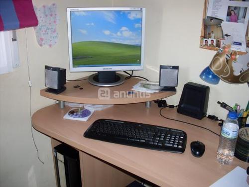 Se vende ordenador completo, torre Pentium 4, monitor tft 19