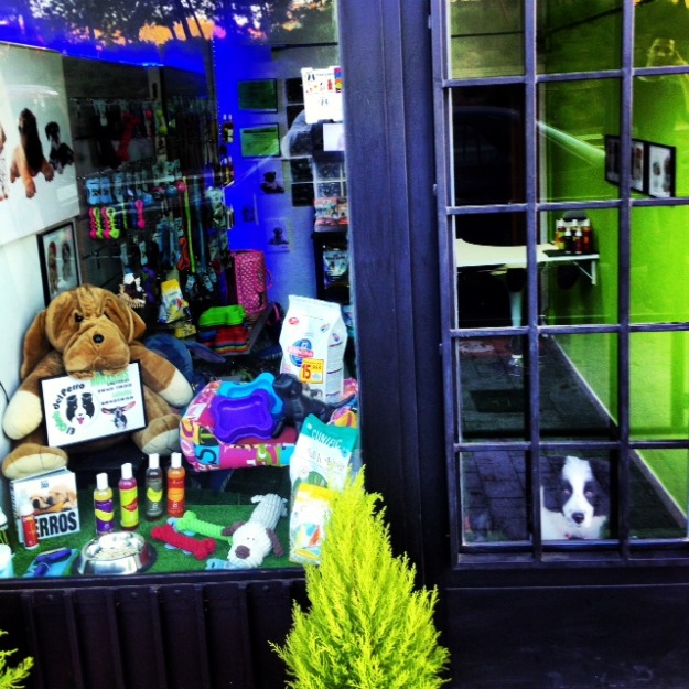 peluqueria canina desde 20 euros Madrid. telf 9120873287