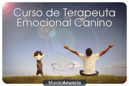 Curso de Terapeuta Canino