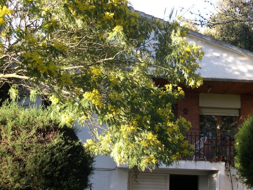 Habitación doble en casa en el Montseny