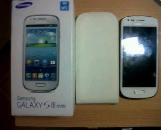 Samsung galaxy s3 mini