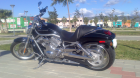 Harley davidson - v rod vrscaw 2008 - mejor precio | unprecio.es