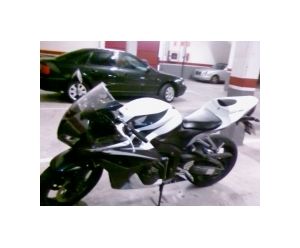 HONDA CBR 600 RR