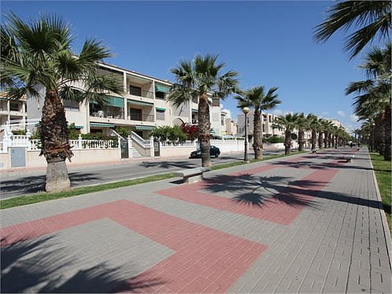 Bungalow en Guardamar del Segura