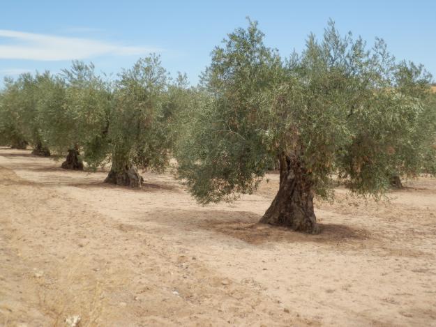 venta de finca rustica con grava