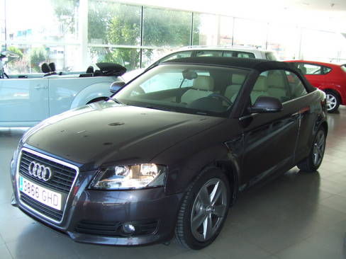 Audi A3 Cabrio 1.9 TDI 105CV