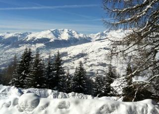 Apartamento : 5/5 personas - les arcs  saboya  rodano alpes  francia