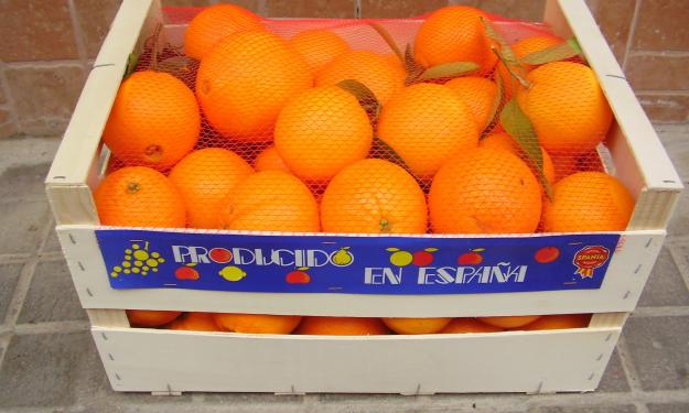 Naranja directamente del campo de valencia a tu casa