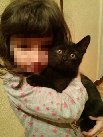 Murci, gatito negro de 3 meses, muy mimoso. Álava (aprox:8/13)