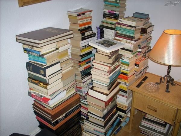 Lote de aproximadamente 300 libros