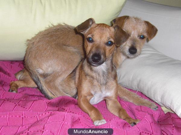 ADOPCIÓN ALBA Y SANDRA