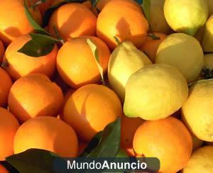 vendo naranjas y limones