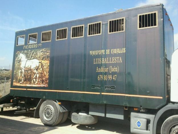 Caja de caballos